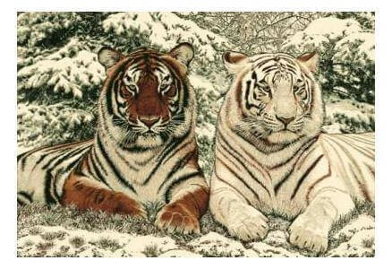 С тигром